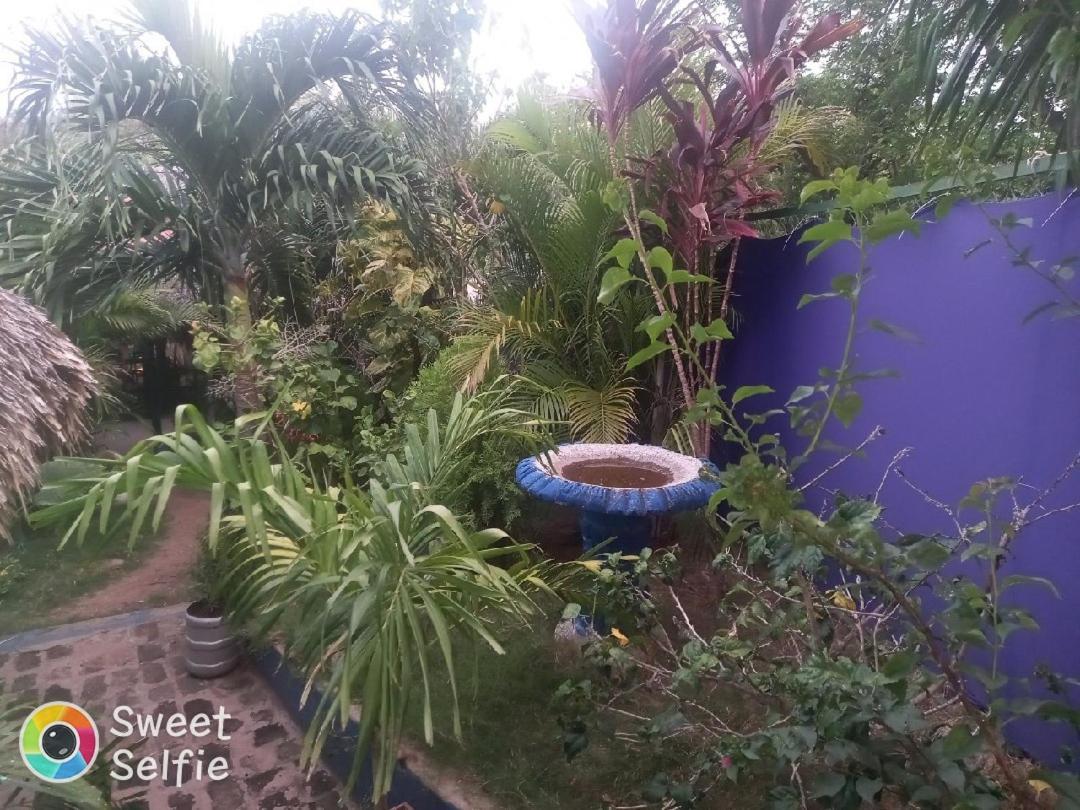 La Cascada Hostel & Restaurant ريفاس المظهر الخارجي الصورة