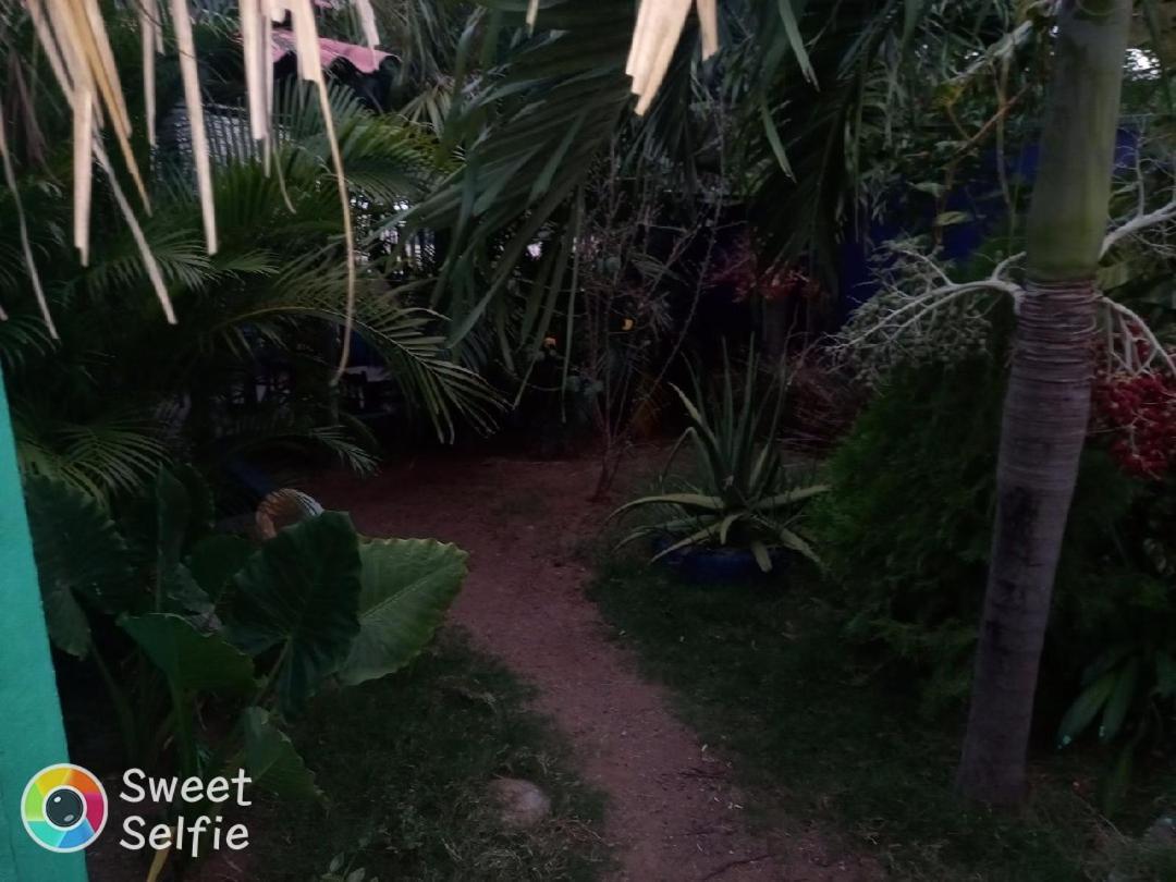 La Cascada Hostel & Restaurant ريفاس المظهر الخارجي الصورة